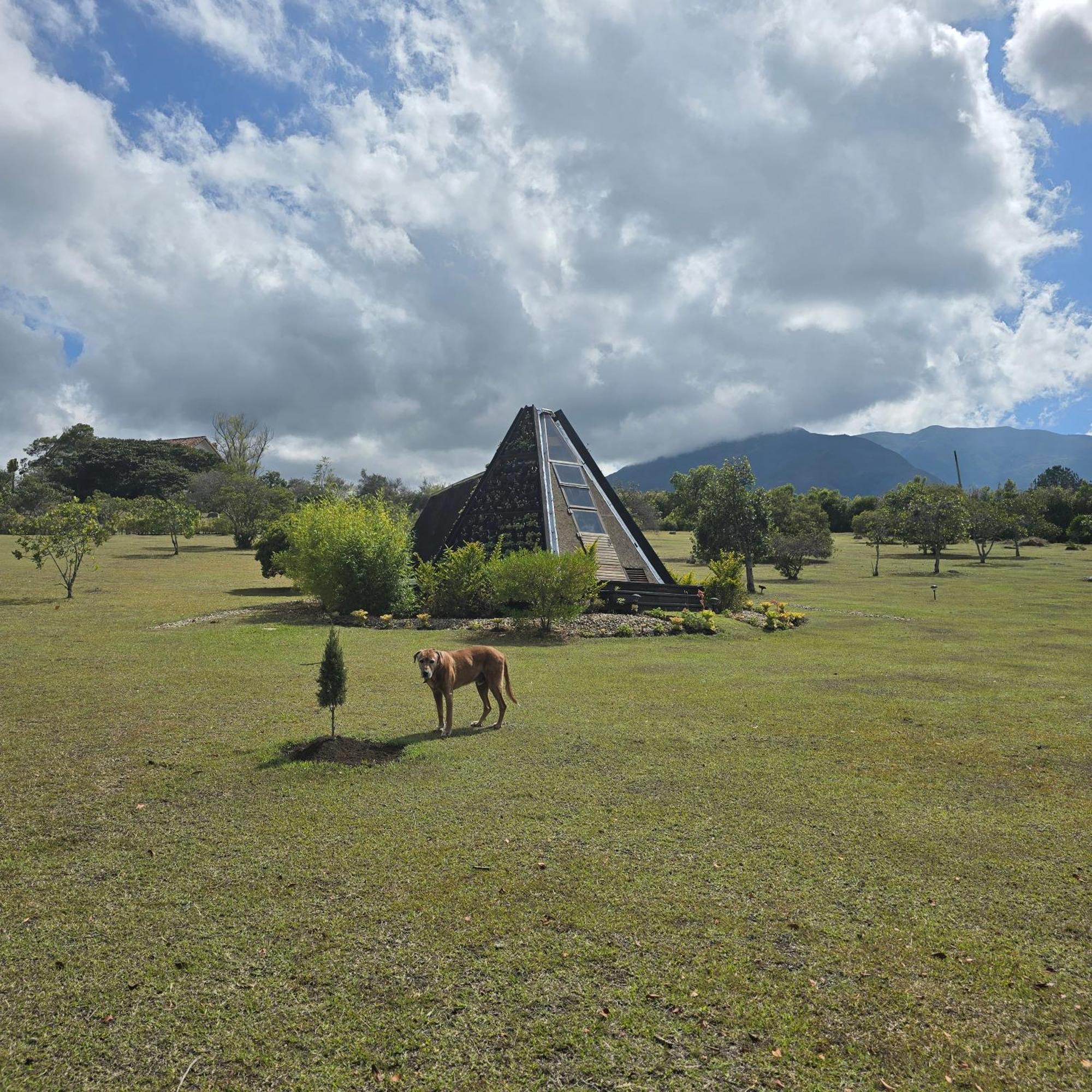 Hotel, Glampings Y Magic Chalet